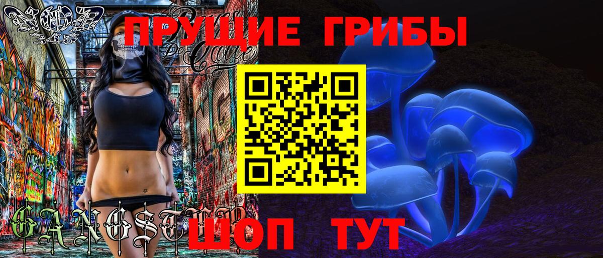 Энгельс  Галлюциногенные грибы Cubensis  Псилоцибиновые грибы Cubensis  Вход с VPN 