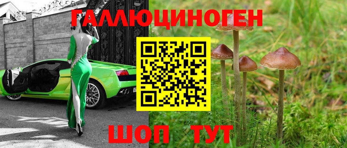 Галлюциногенные грибы MAGIC MUSHROOMS Энгельс